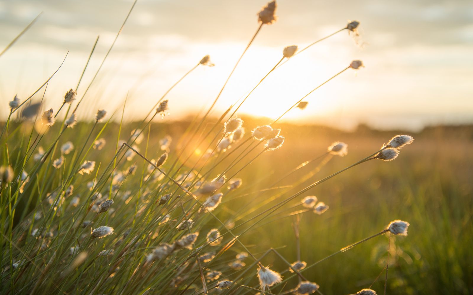 Unser Rückkaufprogramm