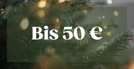 Geschenkideen für Weihnachten bis 50 Euro