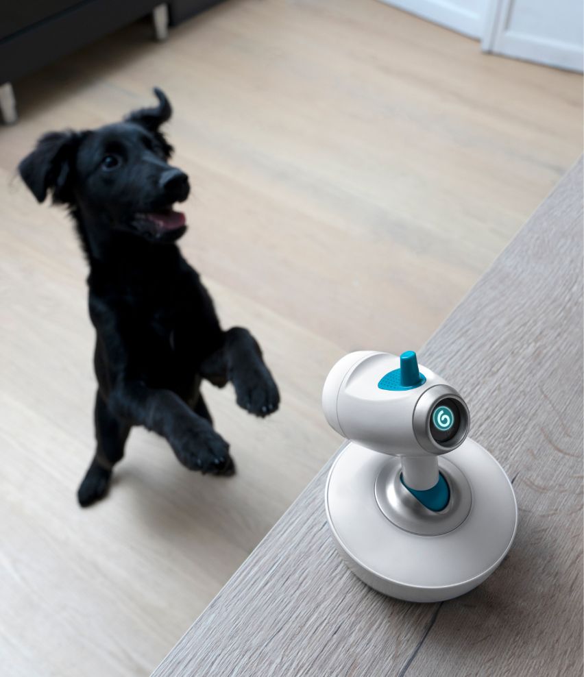 Babyphone mit Kamera YOO-Moov auch als Hundekamera