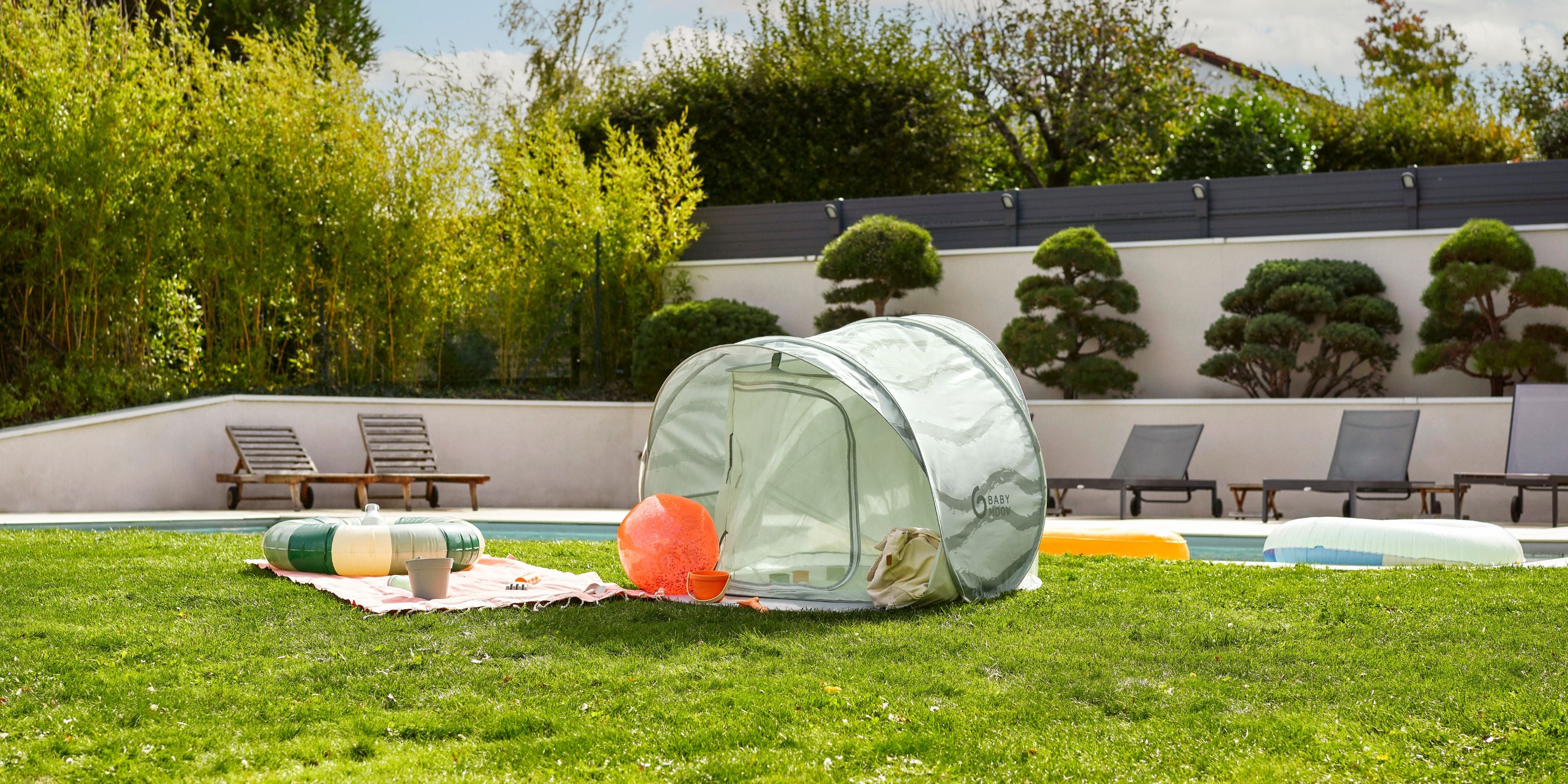 Strandmuschel Vergleich