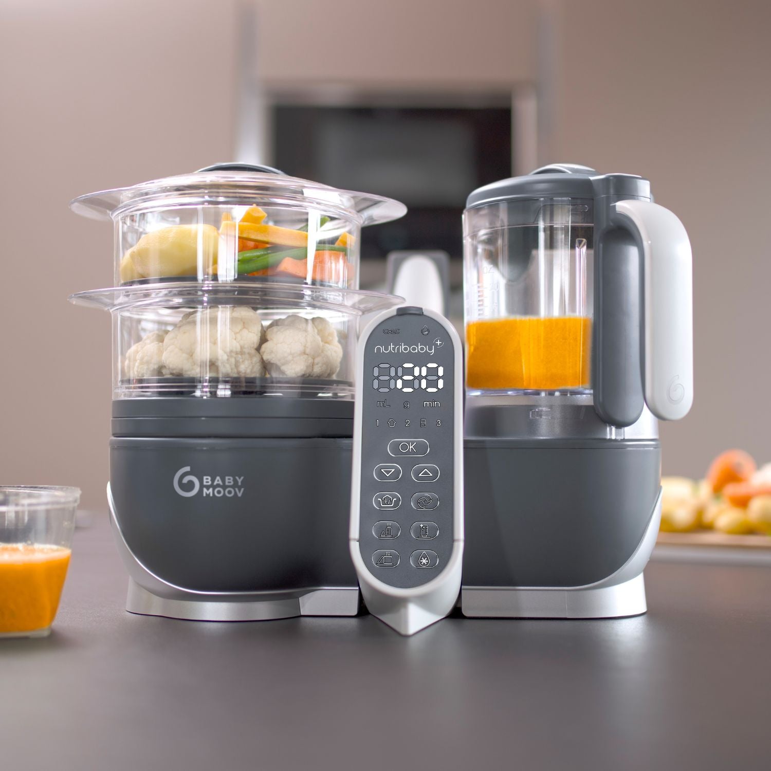 Leitfaden Babynahrungszubereiter