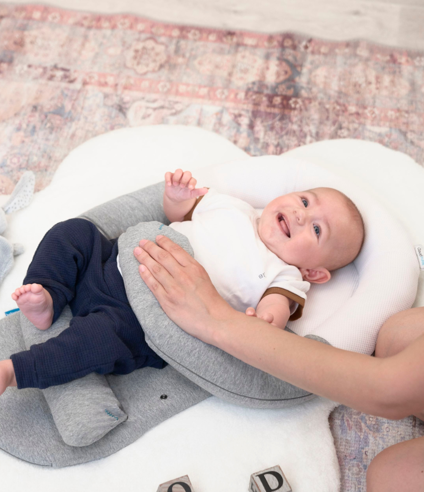 Babynest CloudNest