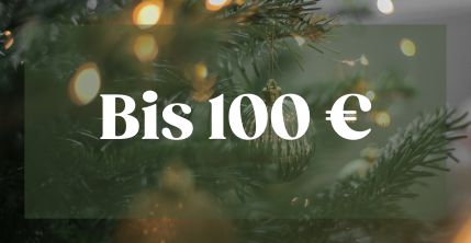 Geschenkideen für Weihnachten bis 100 Euro